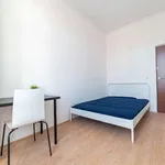 Rent a room in lisbon