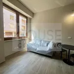 Rent 2 bedroom apartment of 40 m² in Milano