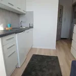 Rent 1 bedroom apartment in lodz