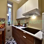 Rent 2 bedroom apartment of 60 m² in Milano