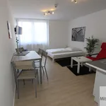 Miete 1 Schlafzimmer wohnung von 28 m² in Nuremberg