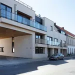 Rent 1 bedroom apartment in Deerlijk