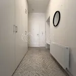 Rent 1 bedroom apartment in Brno