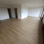 Rent 3 bedroom apartment in Kapelle-op-den-Bos