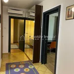 Rent 2 bedroom apartment of 54 m² in Lovnic