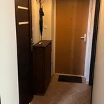 Rent 1 bedroom apartment of 39 m² in Poznan