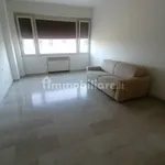 Rent 3 bedroom apartment of 75 m² in Bologna