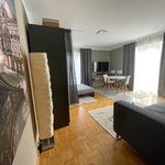 Rent 1 bedroom apartment of 42 m² in Dresden