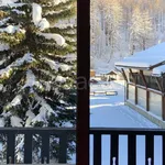 Rent 2 bedroom apartment of 45 m² in Sestriere