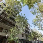 Alquilo 1 dormitorio apartamento de 80 m² en Madrid