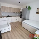 Rent 1 bedroom apartment in Pilsen