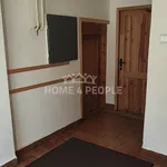 Rent 1 bedroom apartment of 50 m² in Plzeň