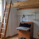 Rent a room of 130 m² in rome