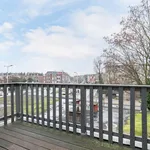 Rent 3 bedroom apartment of 135 m² in Den Haag