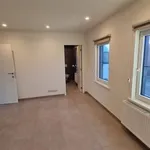  appartement avec 1 chambre(s) en location à SEMMERZAKE