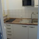 Miete 1 Schlafzimmer wohnung von 30 m² in Frankfurt