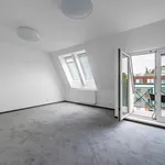 Rent 6 bedroom apartment of 289 m² in Prague