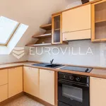 Rent 8 bedroom house of 500 m² in Zagreb