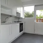 Rent 5 bedroom house of 90 m² in Paddepoel-Noord