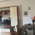 Rent 3 bedroom apartment of 65 m² in Frosinone