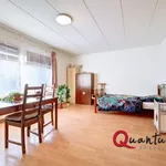 Rent 1 bedroom apartment in Capital City of Prague