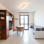 Rent 1 bedroom apartment in Milan