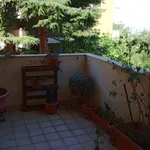 Rent 5 bedroom apartment of 100 m² in Chieti