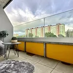 Rent 1 bedroom apartment in Brno