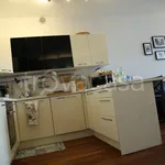 Rent 3 bedroom apartment of 115 m² in Milan