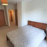 Rent 1 bedroom flat in London