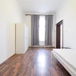 Rent 1 bedroom apartment in Brno