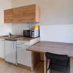 Rent 1 bedroom apartment in Brno