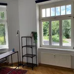 Miete 2 Schlafzimmer wohnung von 55 m² in Leipzig