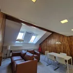 Rent 1 bedroom apartment of 57 m² in Brno