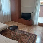 Rent 4 bedroom apartment of 100 m² in Venice