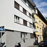 Rent 1 bedroom apartment of 48 m² in Zurich