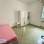 Rent 3 bedroom apartment of 80 m² in Bologna