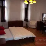 Rent 1 bedroom apartment of 82 m² in Praha 1