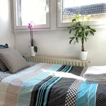 Rent 1 bedroom apartment of 12 m² in Hürth