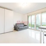 Rent 1 bedroom apartment of 41 m² in Milano