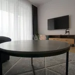 Rent 2 bedroom apartment of 56 m² in Piotrków Trybunalski