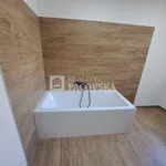 Rent 1 bedroom apartment of 250 m² in Ústí nad Labem