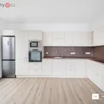 Rent 3 bedroom apartment of 98 m² in Trhový Štěpánov