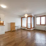 Rent 1 bedroom apartment in Praha 4