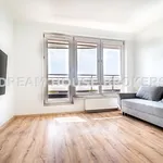 Rent 3 bedroom apartment of 70 m² in Rzeszów