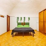 Rent 1 bedroom apartment of 50 m² in Cuneo