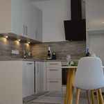 Rent 1 bedroom apartment of 44 m² in Frankfurt