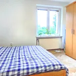 6   Pronájem   Pronájem bytu 2+1, balkon, sklep, Husova čtvrť Rosice