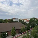 Rent 1 bedroom apartment of 35 m² in berlin