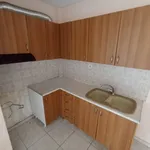 Rent 2 bedroom apartment of 77 m² in Municipal Unit of Echedoros